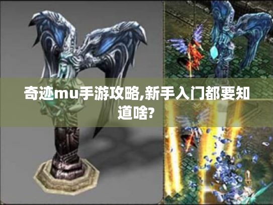 奇迹mu手游攻略,新手入门都要知道啥?
