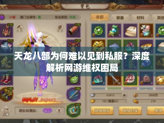 天龙八部为何难以见到私服？深度解析网游维权困局