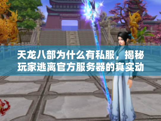 天龙八部为什么有私服，揭秘玩家逃离官方服务器的真实动机