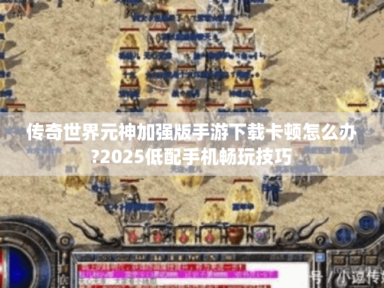 传奇世界元神加强版手游下载卡顿怎么办?2025低配手机畅玩技巧 传奇世界元神加强版手游下载卡顿怎么办?2025低配手机畅玩技巧