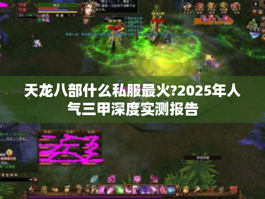 天龙八部什么私服最火?2025年人气三甲深度实测报告