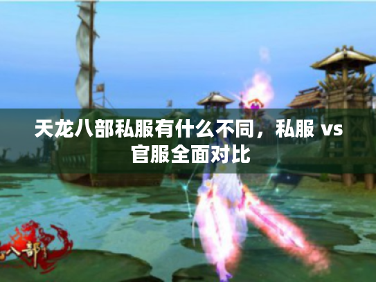 天龙八部私服有什么不同，私服 vs 官服全面对比