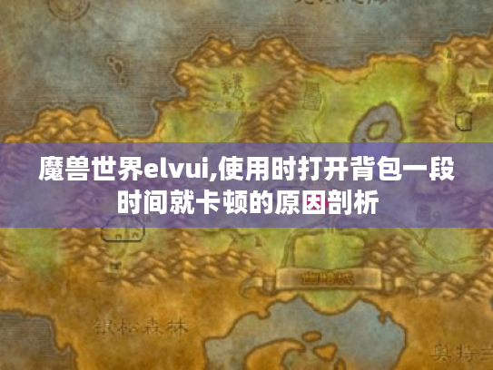 魔兽世界elvui,使用时打开背包一段时间就卡顿的原因剖析 魔兽世界elvui,使用时打开背包一段时间就卡顿的原因剖析
