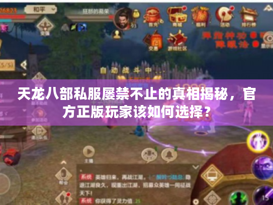 天龙八部私服屡禁不止的真相揭秘，官方正版玩家该如何选择？