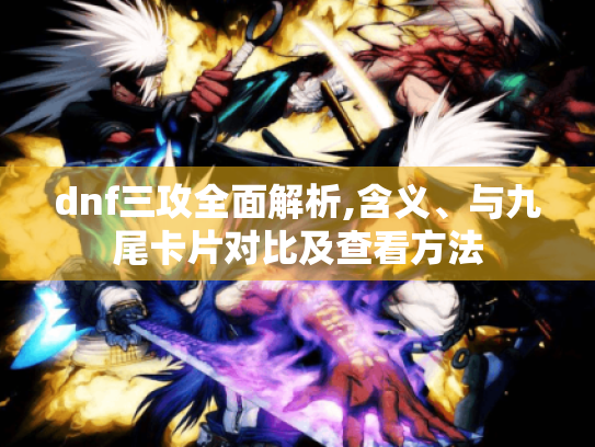 dnf三攻全面解析,含义、与九尾卡片对比及查看方法