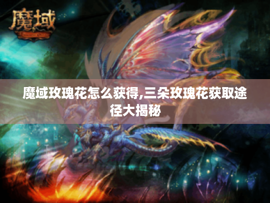 魔域玫瑰花怎么获得,三朵玫瑰花获取途径大揭秘 魔域玫瑰花怎么获得,三朵玫瑰花获取途径大揭秘