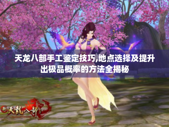 天龙八部手工鉴定技巧,地点选择及提升出极品概率的方法全揭秘