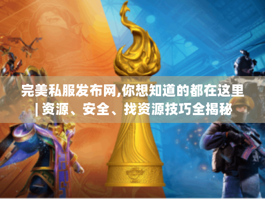 完美私服发布网,你想知道的都在这里 | 资源、安全、找资源技巧全揭秘