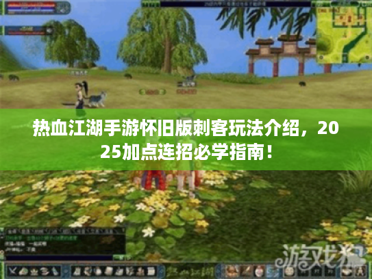 热血江湖手游怀旧版刺客玩法介绍，2025加点连招必学指南！