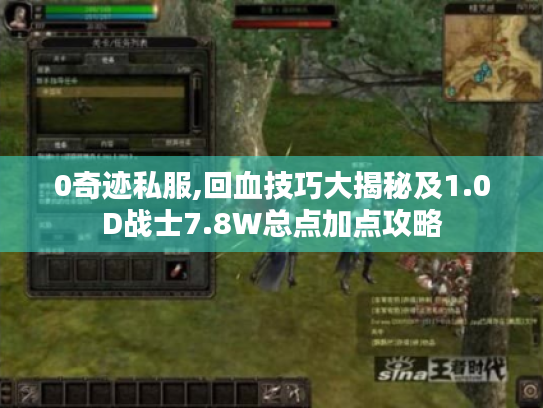 0奇迹私服,回血技巧大揭秘及1.0D战士7.8W总点加点攻略