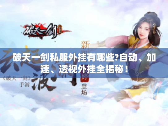 破天一剑私服外挂有哪些?自动、加速、透视外挂全揭秘！