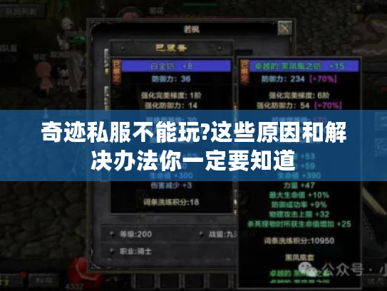 奇迹私服不能玩?这些原因和解决办法你一定要知道