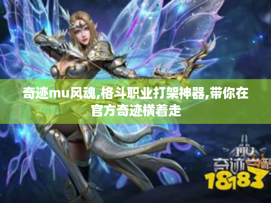 奇迹mu风魂,格斗职业打架神器,带你在官方奇迹横着走