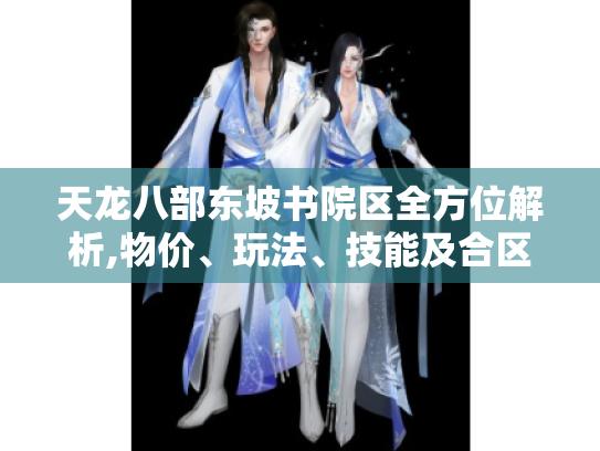 天龙八部东坡书院区全方位解析,物价、玩法、技能及合区情况大揭秘