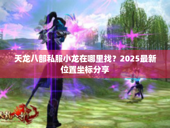 天龙八部私服小龙在哪里找?2025最新位置坐标分享 天龙八部私服小龙在哪里找?2025最新位置坐标分享