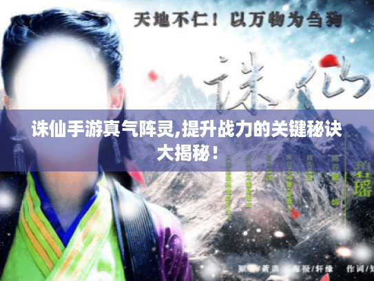 诛仙手游真气阵灵,提升战力的关键秘诀大揭秘！