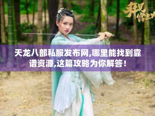 天龙八部私服发布网,哪里能找到靠谱资源,这篇攻略为你解答！