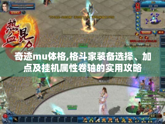 奇迹mu体格,格斗家装备选择、加点及挂机属性卷轴的实用攻略 奇迹mu体格,格斗家装备选择、加点及挂机属性卷轴的实用攻略