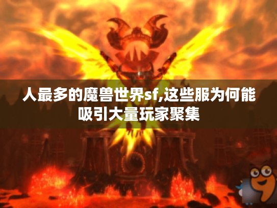 人最多的魔兽世界sf,这些服为何能吸引大量玩家聚集