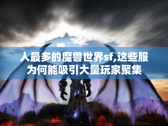 人最多的魔兽世界sf,这些服为何能吸引大量玩家聚集