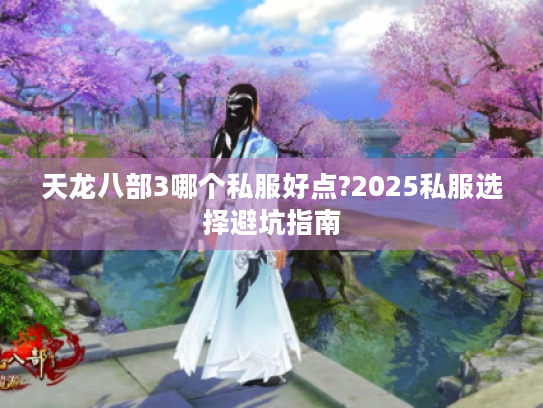 天龙八部3哪个私服好点?2025私服选择避坑指南