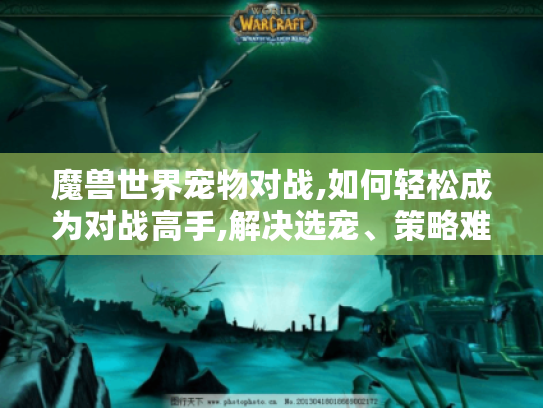 魔兽世界宠物对战,如何轻松成为对战高手,解决选宠、策略难题