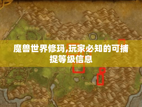 魔兽世界修玛,玩家必知的可捕捉等级信息