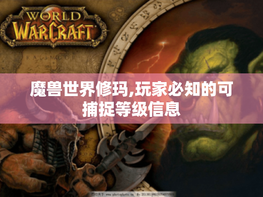 魔兽世界修玛,玩家必知的可捕捉等级信息