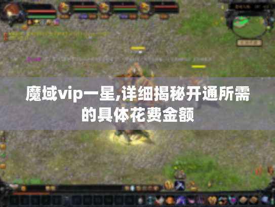 魔域vip一星,详细揭秘开通所需的具体花费金额