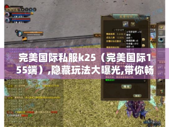 完美国际私服k25（完美国际155端）,隐藏玩法大曝光,带你畅玩不一样的世界