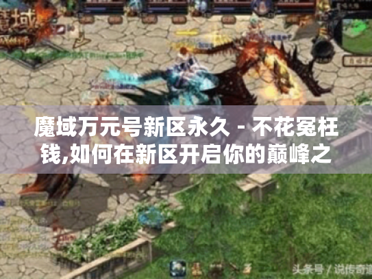 魔域万元号新区永久 - 不花冤枉钱,如何在新区开启你的巅峰之旅?