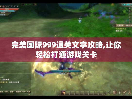 完美国际999通关文字攻略,让你轻松打通游戏关卡 完美国际999通关文字攻略,让你轻松打通游戏关卡