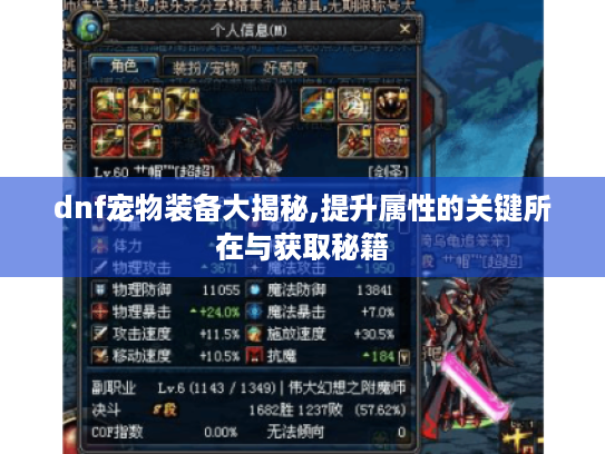 dnf宠物装备大揭秘,提升属性的关键所在与获取秘籍