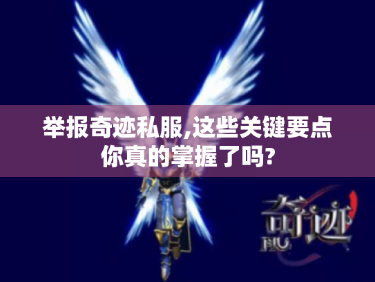 举报奇迹私服,这些关键要点你真的掌握了吗?