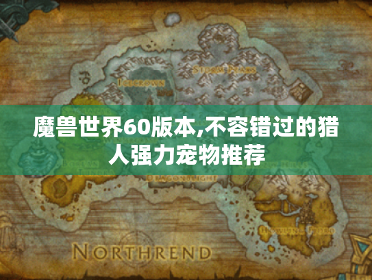 魔兽世界60版本,不容错过的猎人强力宠物推荐