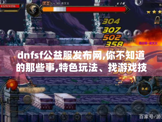 dnfsf公益服发布网,你不知道的那些事,特色玩法、找游戏技巧及区别大揭秘