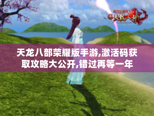 天龙八部荣耀版手游,激活码获取攻略大公开,错过再等一年