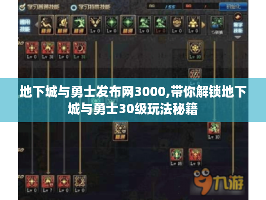 地下城与勇士发布网3000,带你解锁地下城与勇士30级玩法秘籍