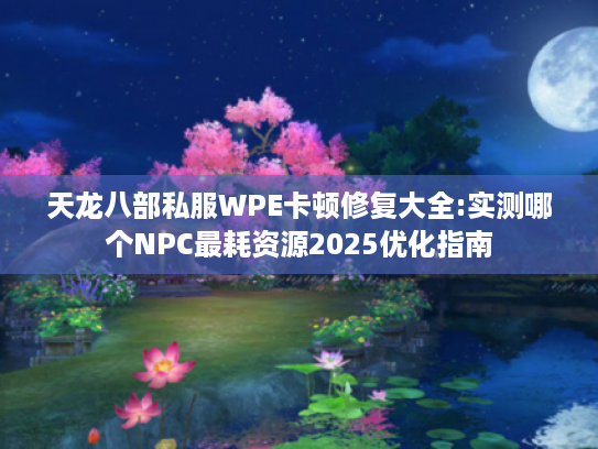 天龙八部私服WPE卡顿修复大全:实测哪个NPC最耗资源2025优化指南