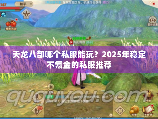 天龙八部哪个私服能玩？2025年稳定不氪金的私服推荐