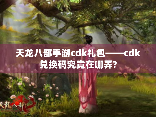 天龙八部手游cdk礼包——cdk兑换码究竟在哪弄?