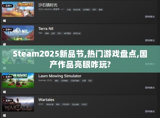 Steam2025新品节,热门游戏盘点,国产作品亮眼咋玩?