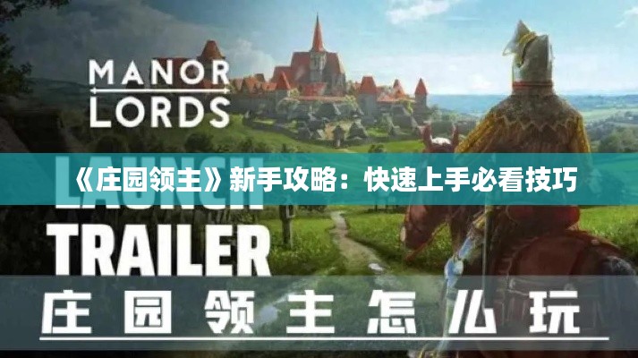 《庄园领主》新手攻略：快速上手必看技巧