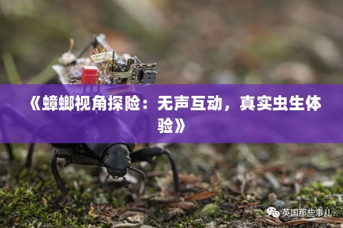 《蟑螂视角探险：无声互动，真实虫生体验》