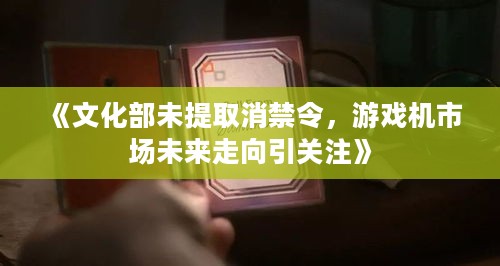 《文化部未提取消禁令，游戏机市场未来走向引关注》