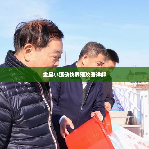 金垦小镇动物养殖攻略详解