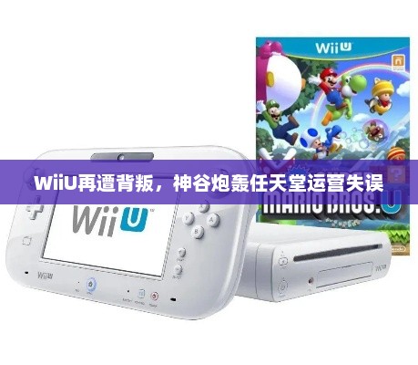 WiiU再遭背叛，神谷炮轰任天堂运营失误