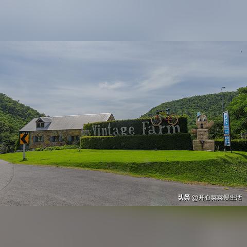 《羊了个羊》12月1日通关攻略：轻松解锁隐藏关卡