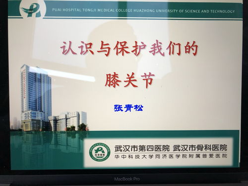 《明末渊虚之羽石损伤增防攻略：高效获取方法揭秘》