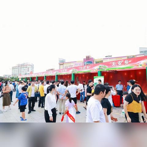 《牧场物语风之集市》活动日历:独家揭秘每日精彩活动时间表 《牧场物语风之集市》活动日历:独家揭秘每日精彩活动时间表